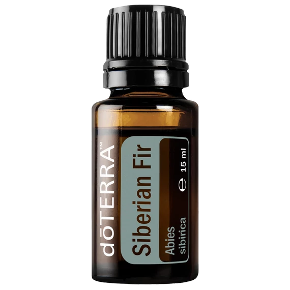 Siberian fir 